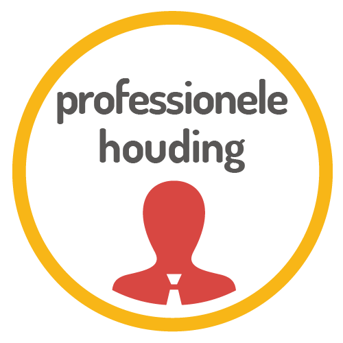 Professionele houding