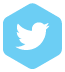 twitter icon