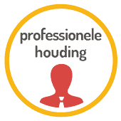 Professionele Houding Icoon