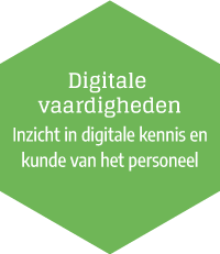 Digitale vaardigheden