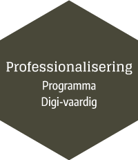 Professionalisering