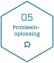 Probleemoplossin Icoon