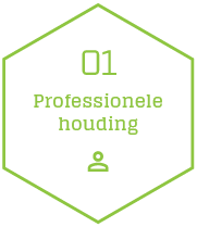 Professionele Houding Icoon